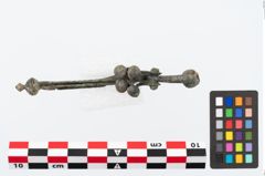 Foto von Bronzeschlangenfibel (NHMW-PRAE-026557)